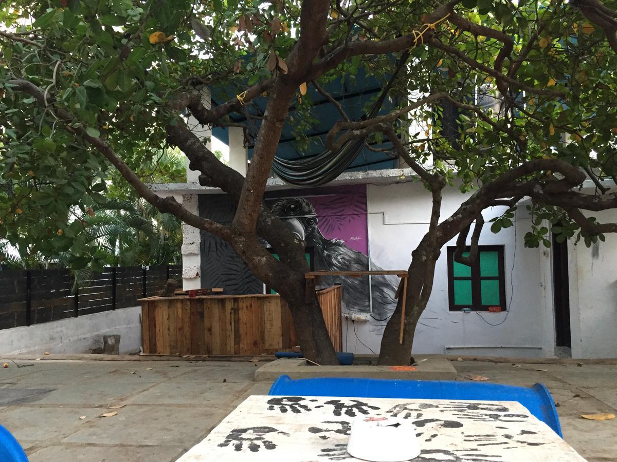 Green Rover Hostel By Gypstead วากาตอร์ ภายนอก รูปภาพ